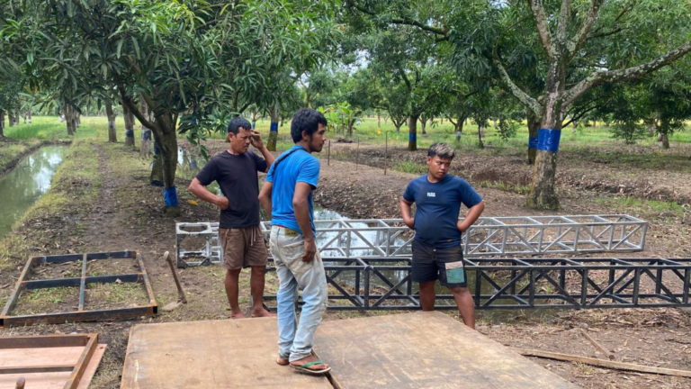 Proses pemasangan truss dan dek panggung outdoor untuk acara penanaman pohon